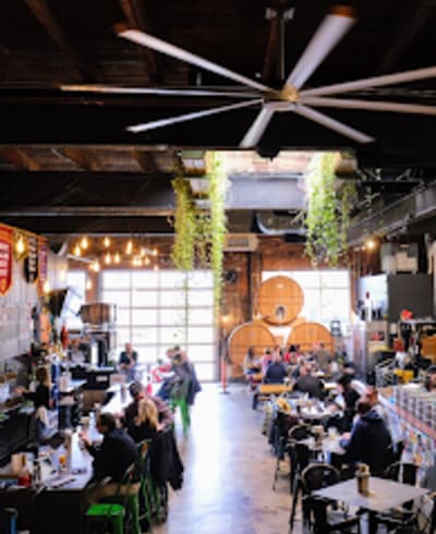 Noble Beast Brewing Co.